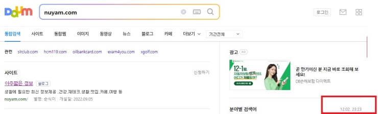 두번째-테스트-사이트-주소-창에-블로그-주소-넣은-후-사이트-정보가-뜸-최적화-확인