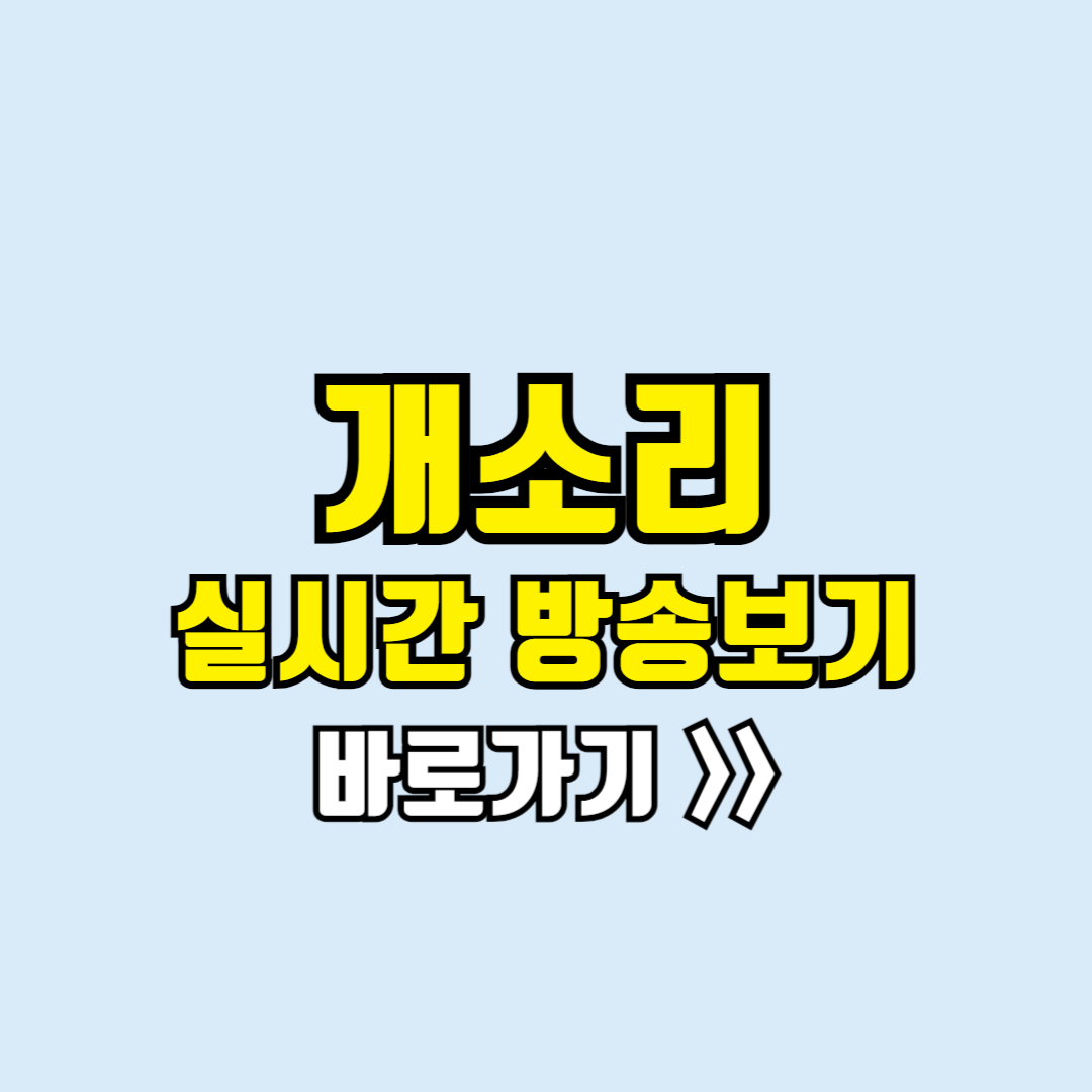 개소리 실시간방송