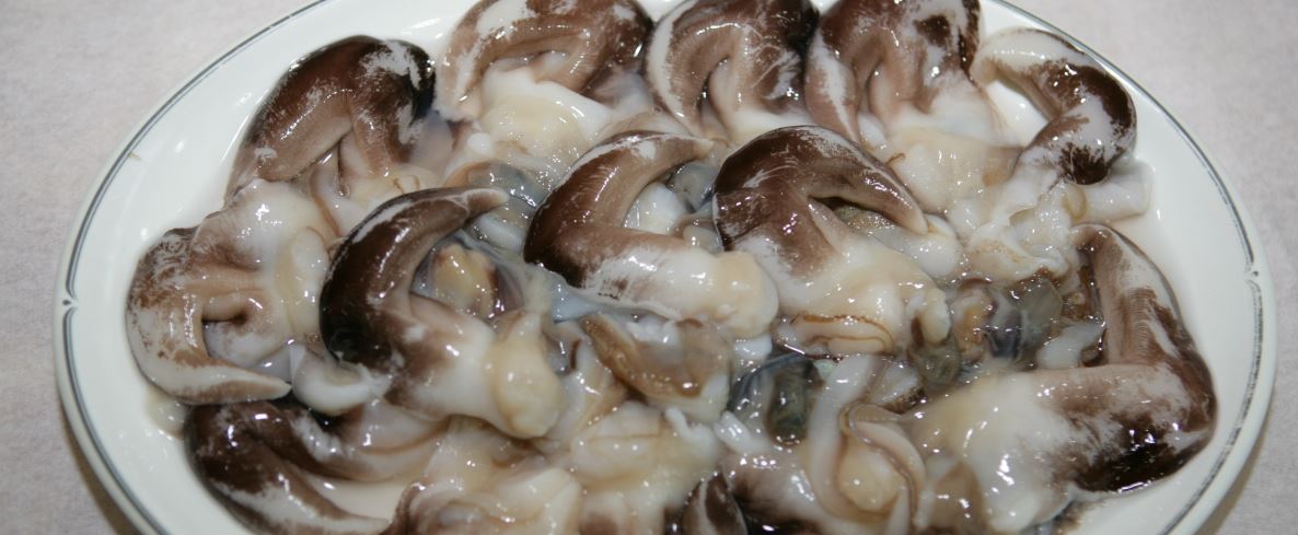 홍성남당항 새조개축제 기본정보 (2024)