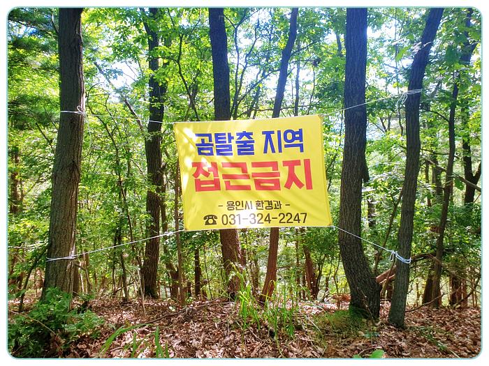써치-용인-사육곰-탈출-사건-경고문