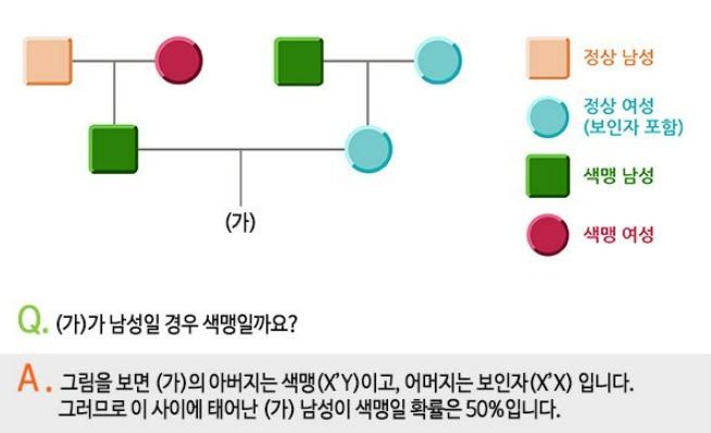 색약원리