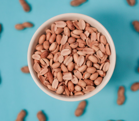 땅콩 효능 : 노화 방지