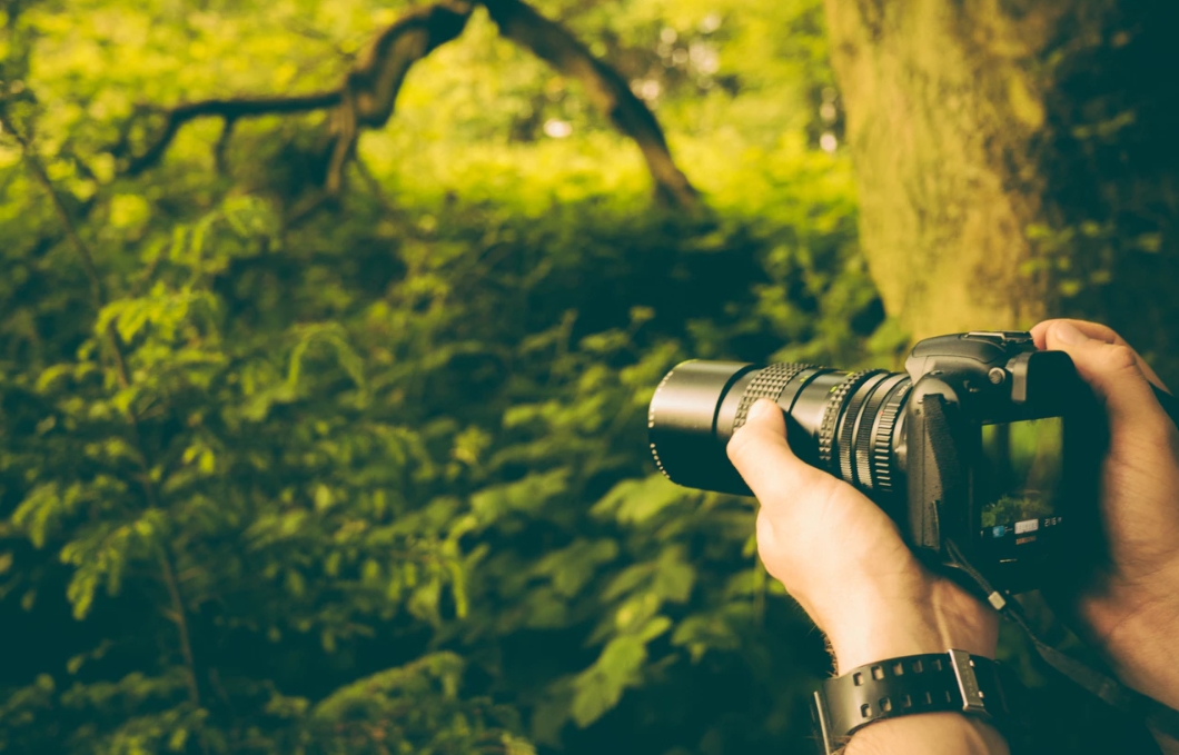 이미지의 대체 텍스트