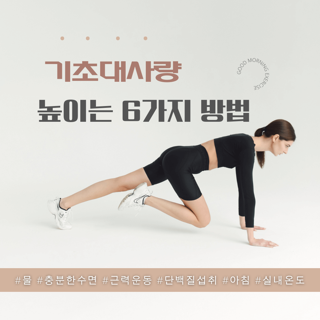 기초대사량 높이는 6가지 방법 - 무조건 실천하기