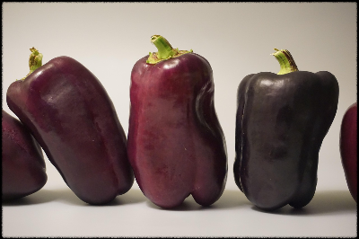 국민 건강 데이터&amp;#44; 독인가 약인가? 건강정보 고속도로의 두 얼굴