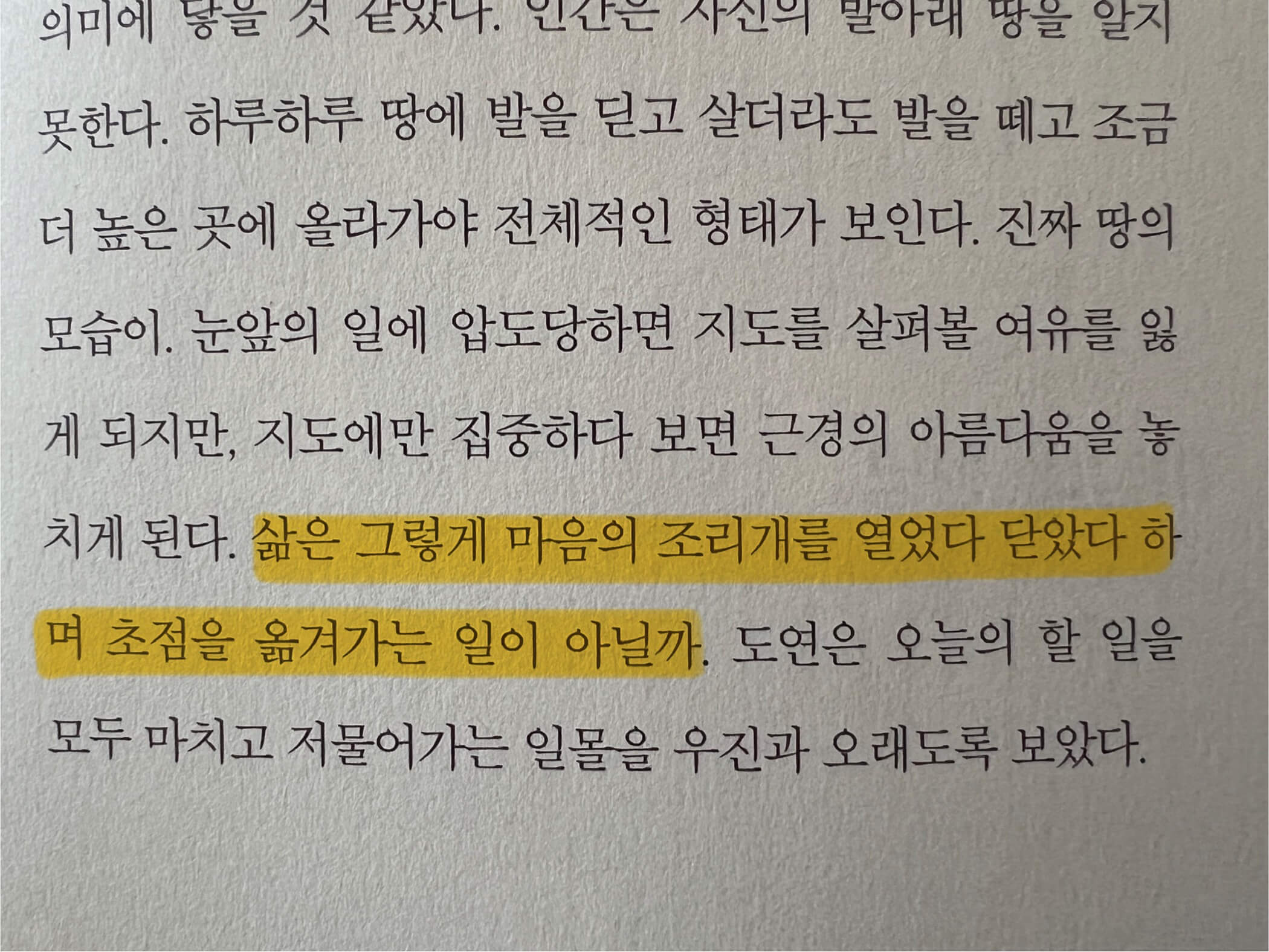 삶에 대한 도연의 깨달음의 문장