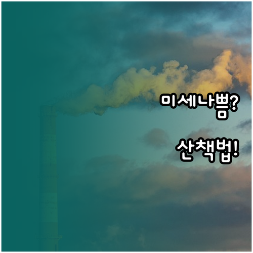 미세먼지 나쁨 날 산책할 때 알아야 ..