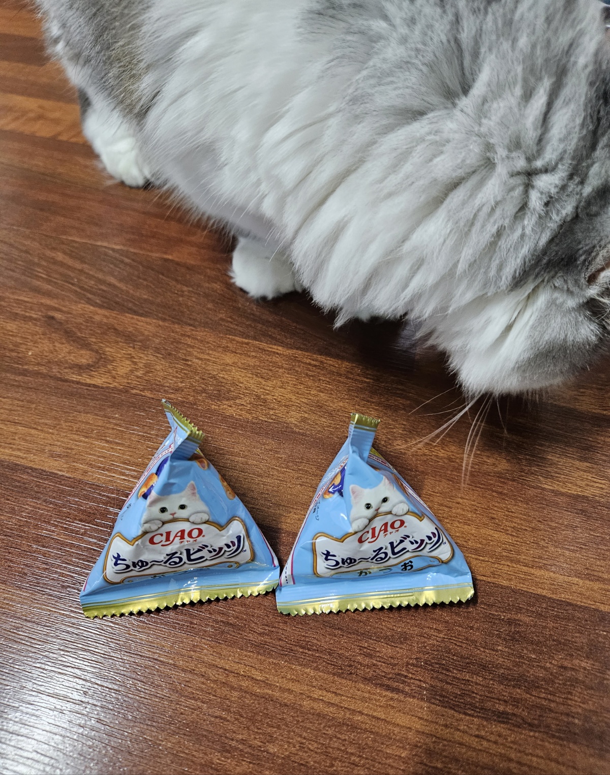 챠오츄르비츠 가다랑어 삼각형 패키지