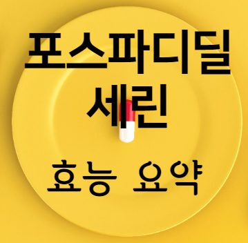 포스파디딜세린 효능 요약
