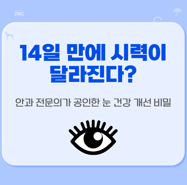 14일-만에-시력이-달라진다?-안과-전문의가-공인한-눈-건강-개선-비밀