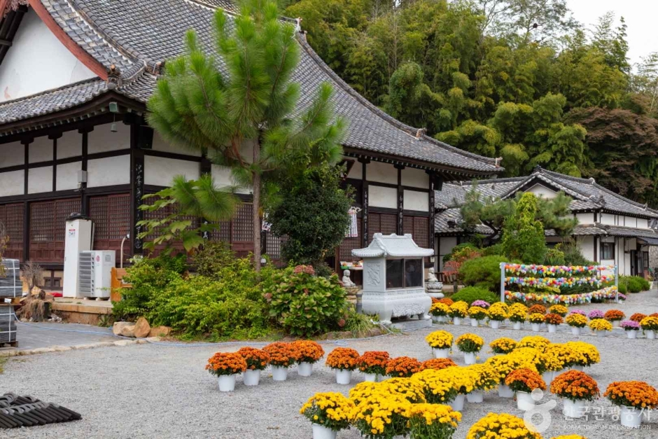 군산 가볼만한곳 베스트10