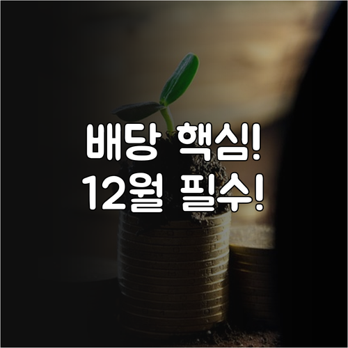 2025년 12월 배당주 투자 배당 ..