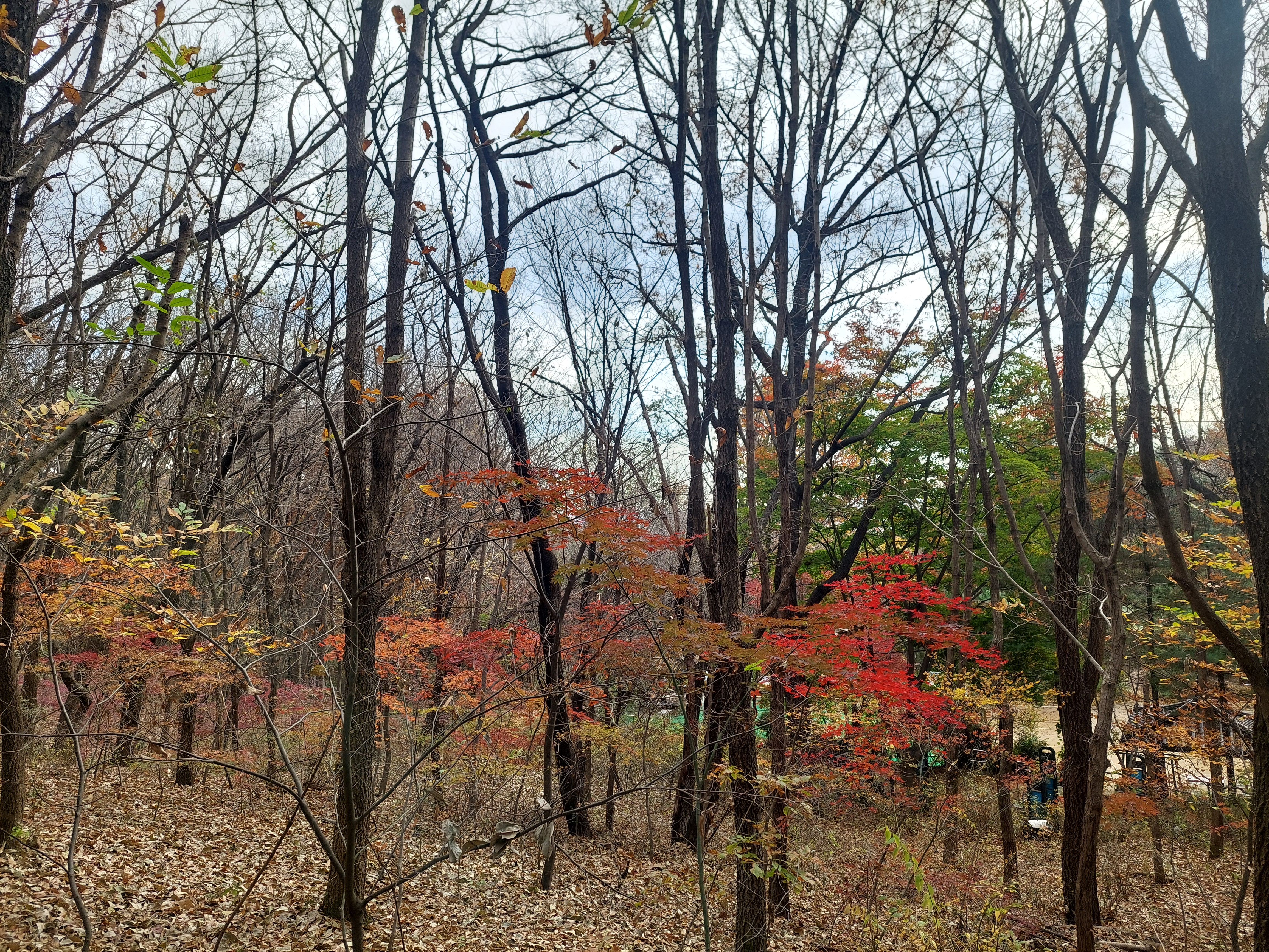 안산