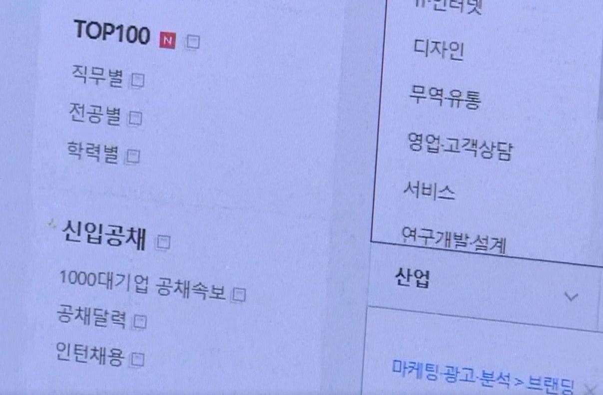 청년취업