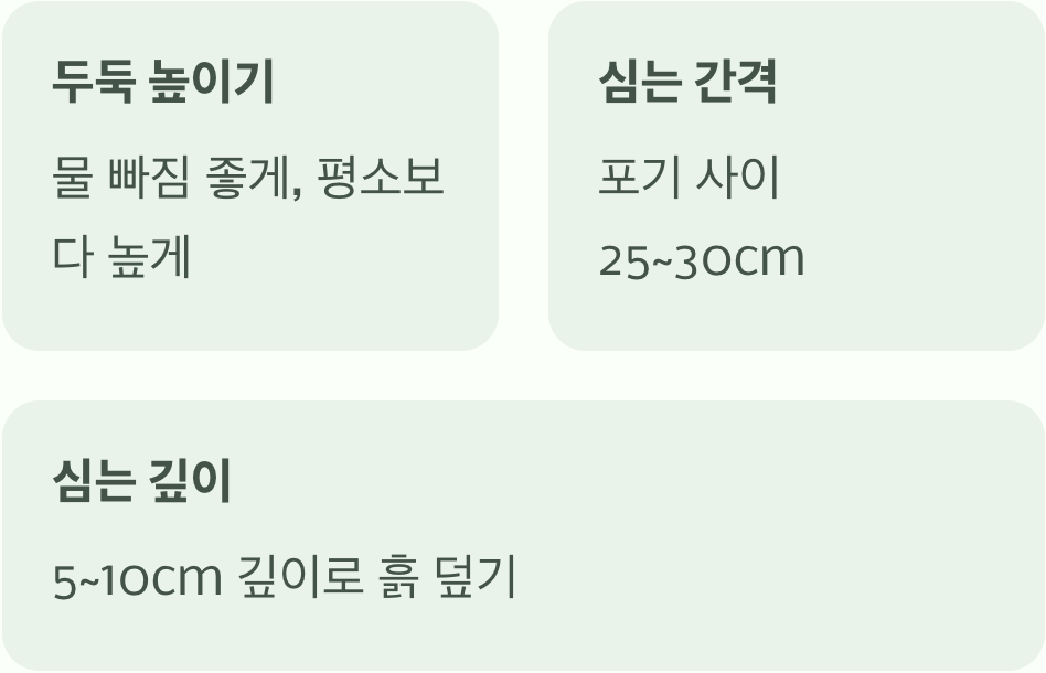 밭 만들기, '두둑'을 높여라