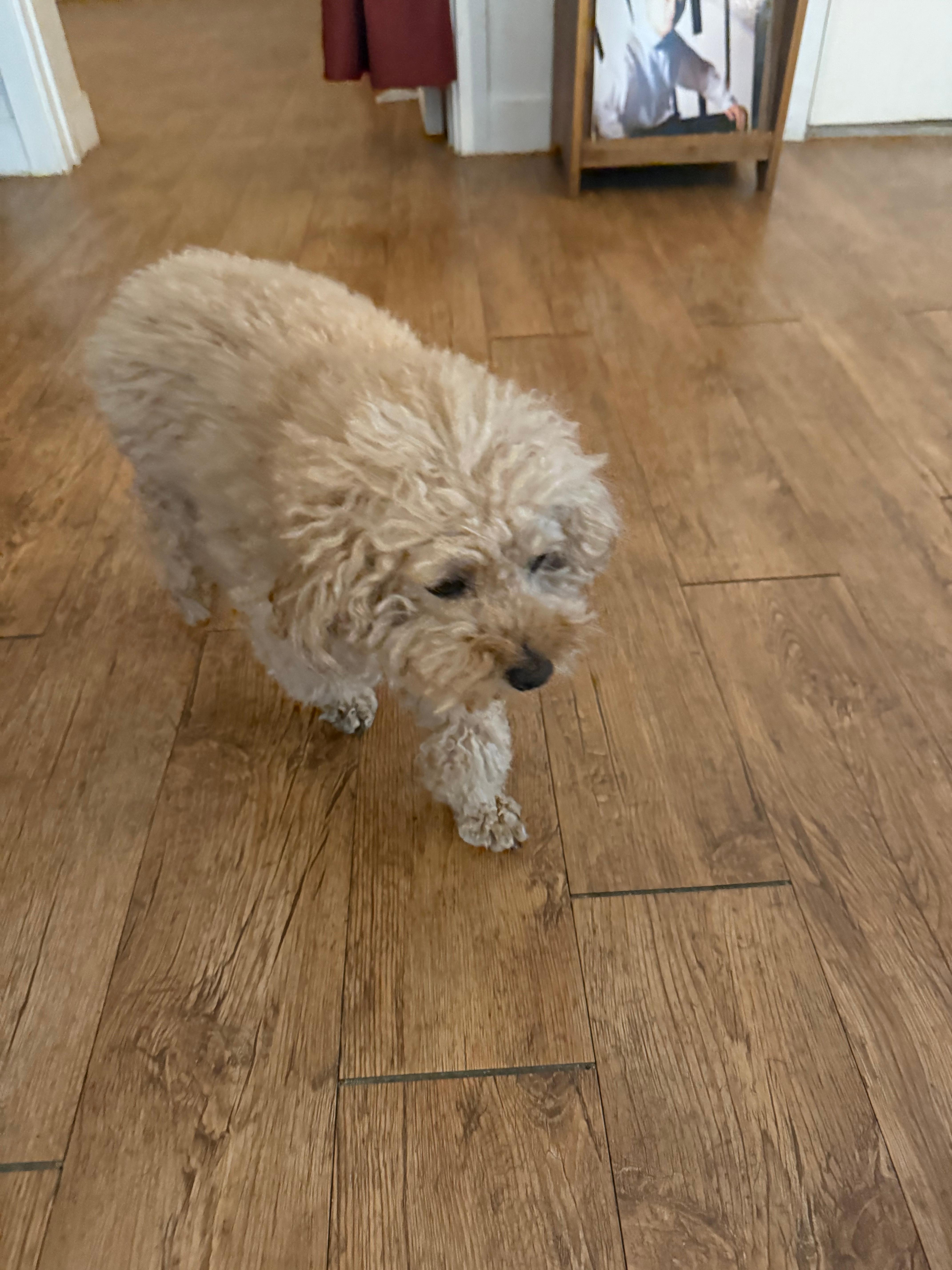 다락방 영화관 무명