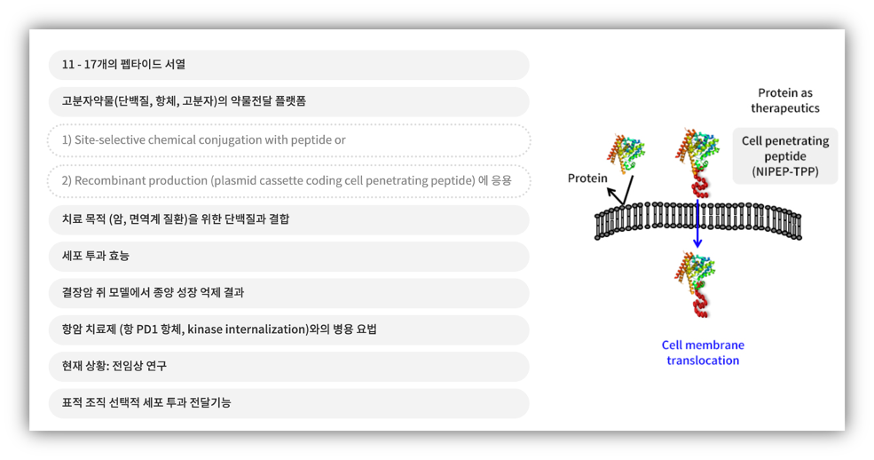 나이벡 세포투과기능성 펩타이드