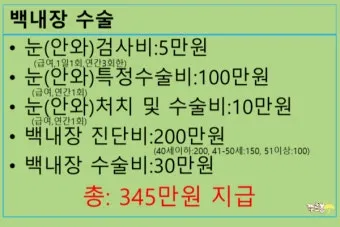 백내장 수술 비용 실비 보험 청구 회복기간_15