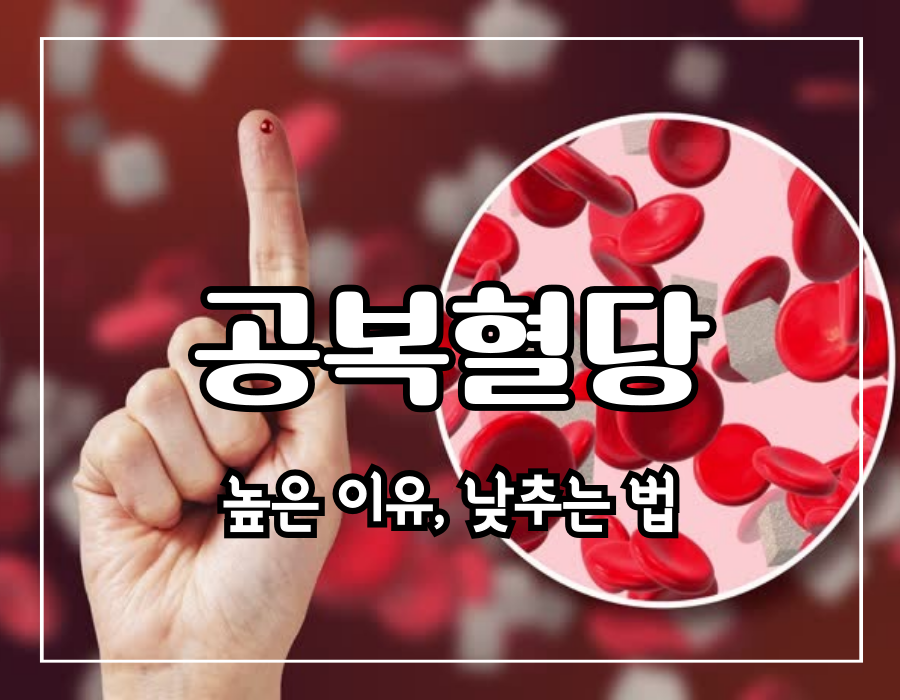 이 이미지는 공복혈당 높은 이유에 관한 포스팅의 대표 이미지입니다.