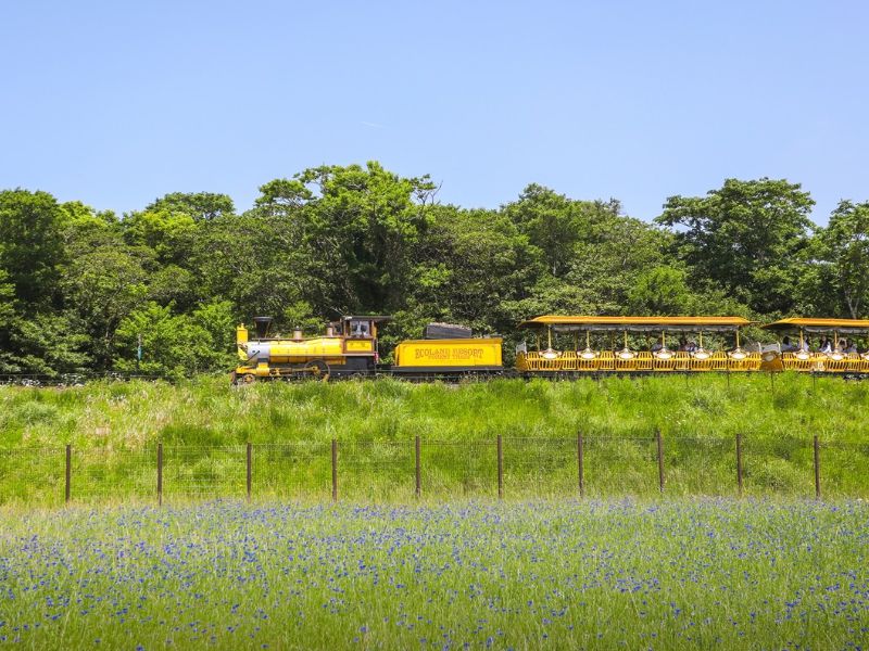 에코랜드 테마파크