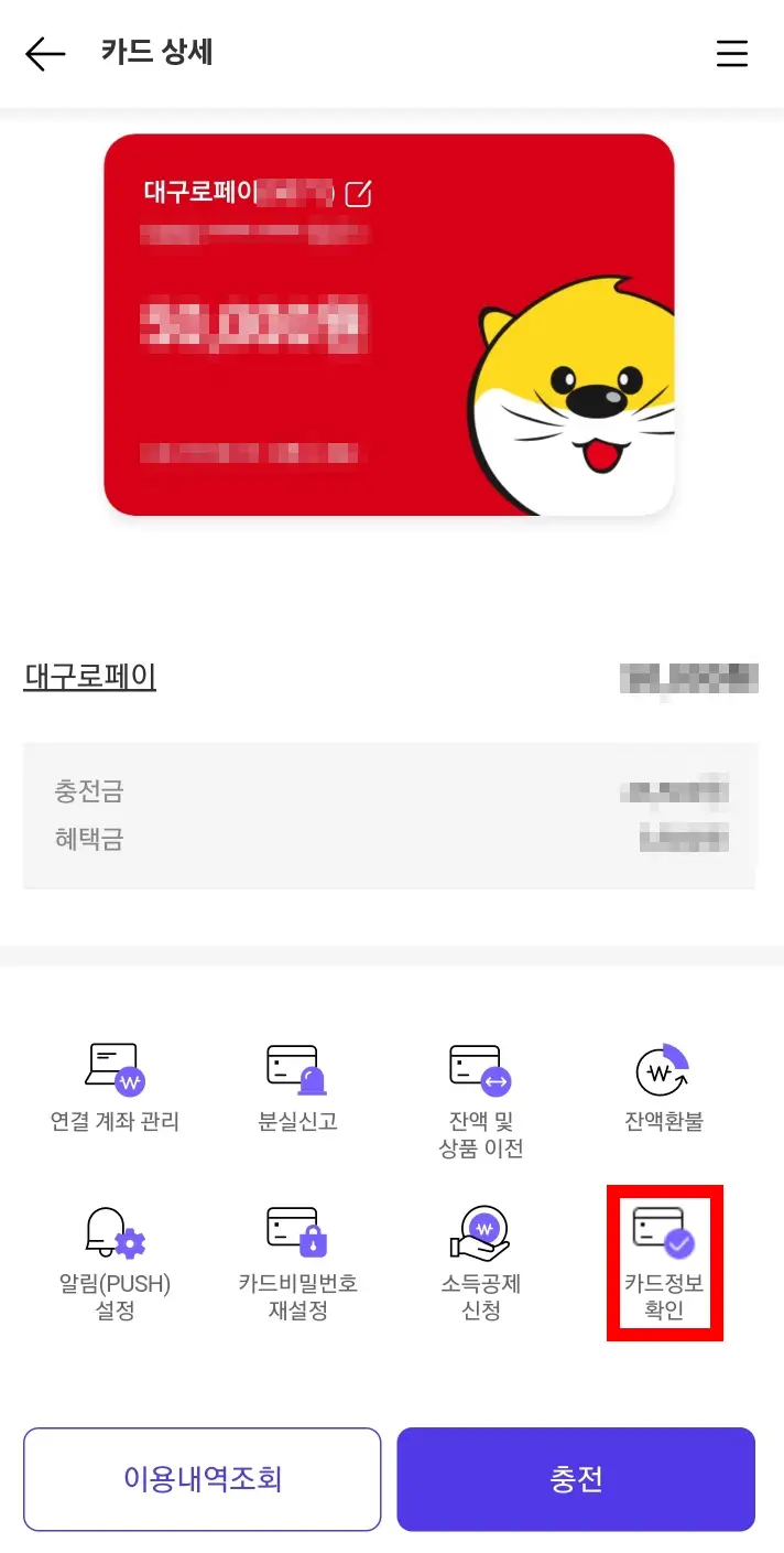 카드-정보-확인