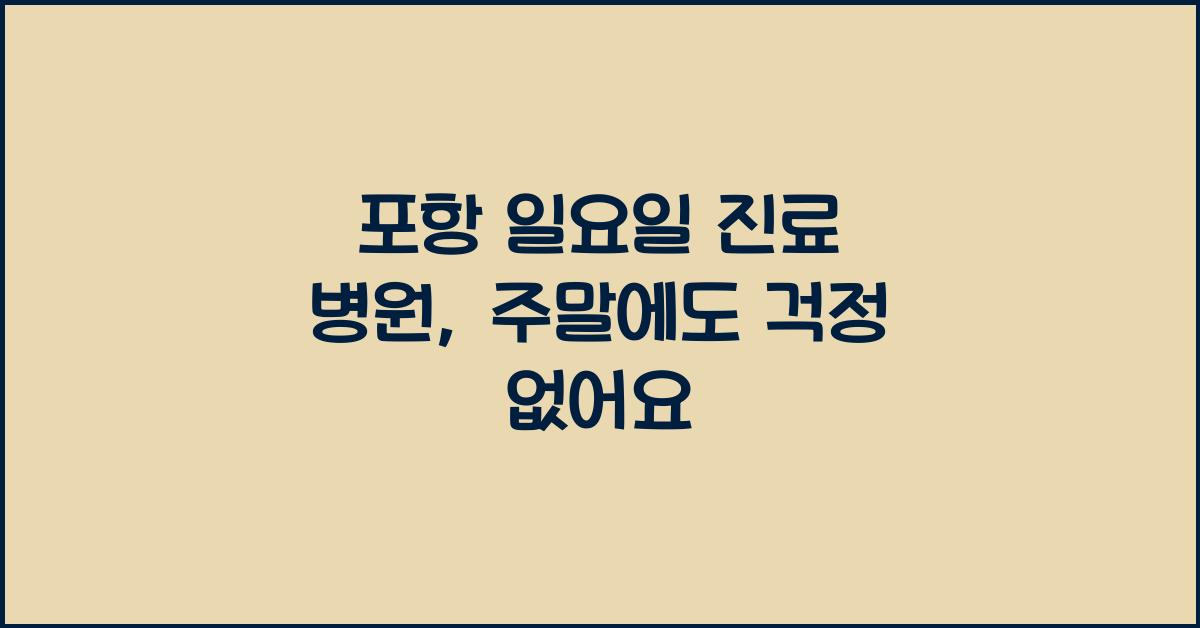 포항 일요일 진료 병원 주말 휴일
