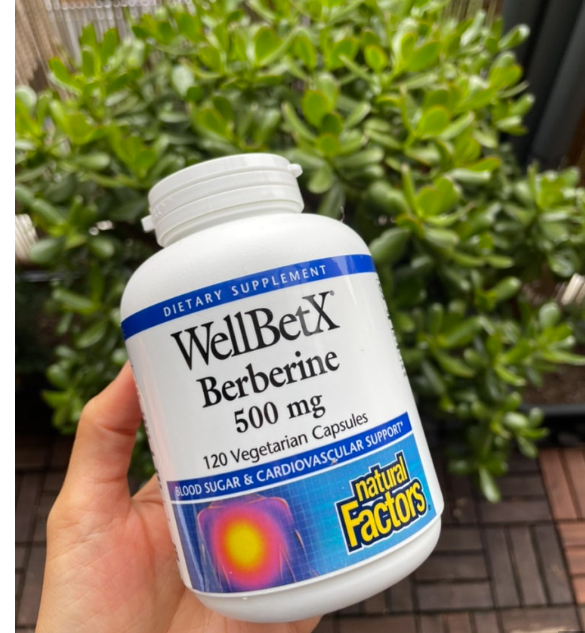 아이허브 WellbetX 베르베린