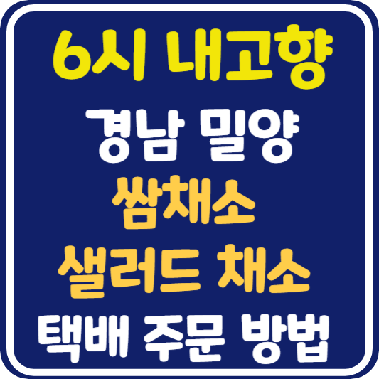 6시 내고향 밀양 쌈채소 샐러드 채소 택배 주문 방법