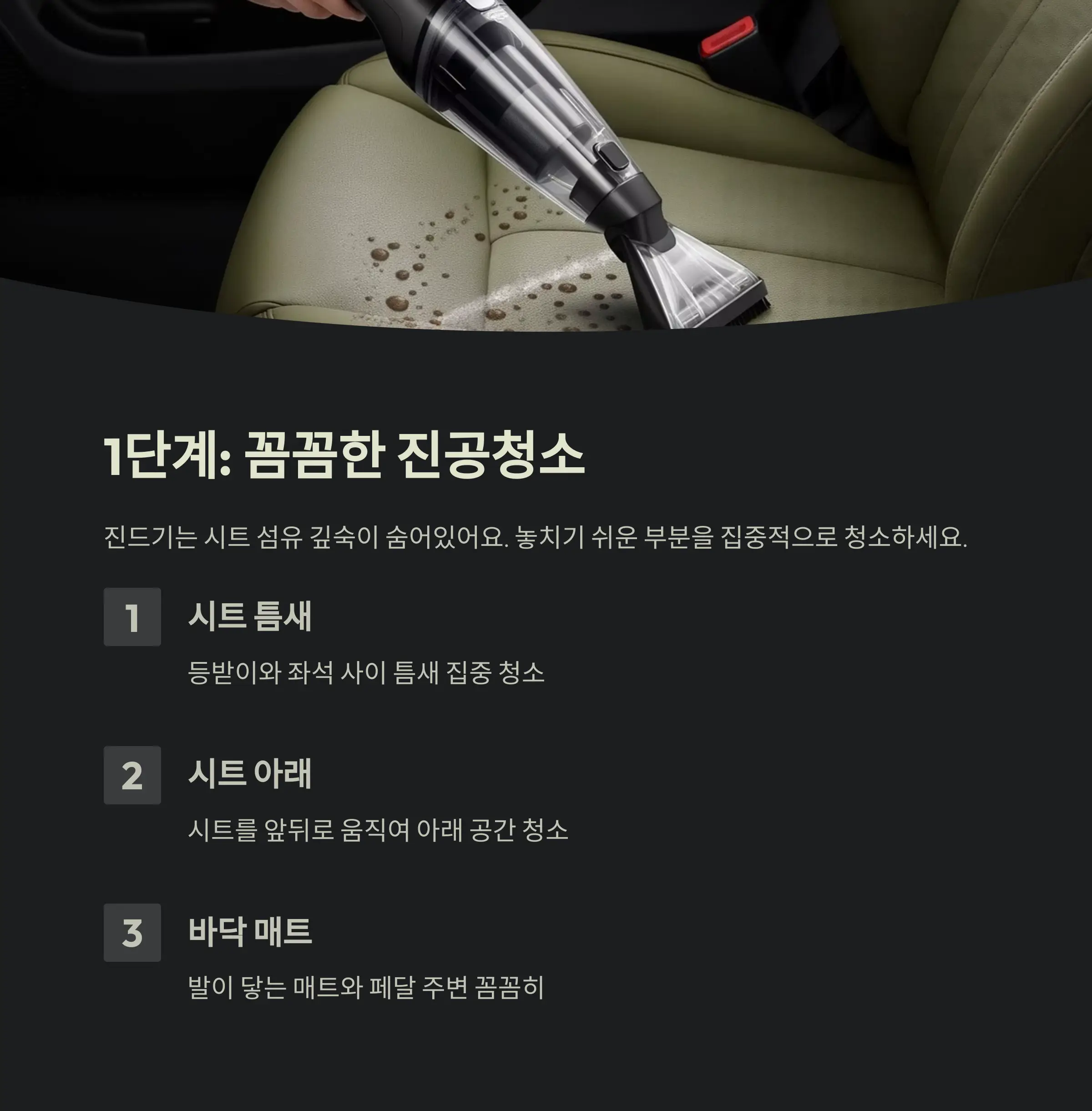 차량 진드기 제거 정보