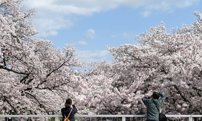 화담숲-예약-방법