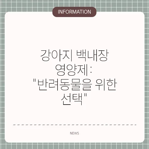 강아지 백내장 영양제: 