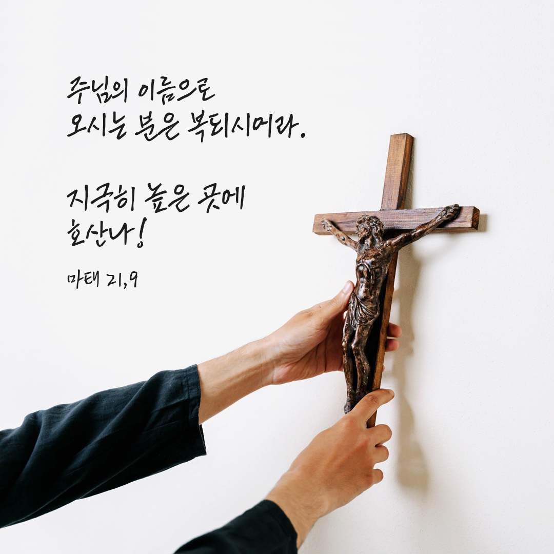 주님의 이름으로 오시는 분은 복되시어라. 지극히 높은 곳에 호산나! (마태 21,9) 성경 말씀 카드 이미지