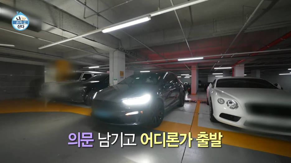 나혼자산다-하석진-차-테슬라모델X플래드