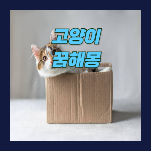 고양이 꿈해몽