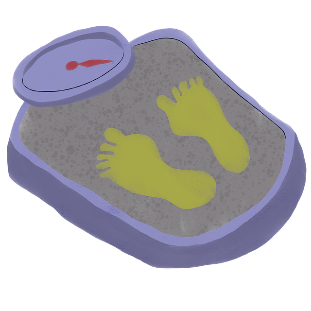 비만의 원인 - 혈당 스파이크