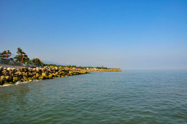 초보자도 쉽게 도전! 걷기 좋은 올레길 BEST 5 🌿