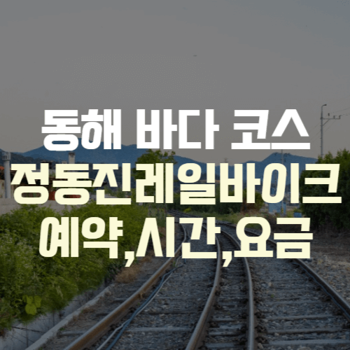 정동진레일바이크