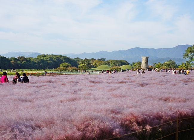 경주 가볼만한곳