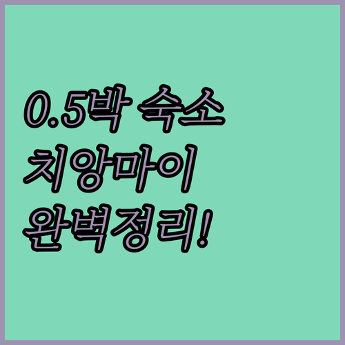 치앙마이 0.5박 숙소부터 터미널 앞..