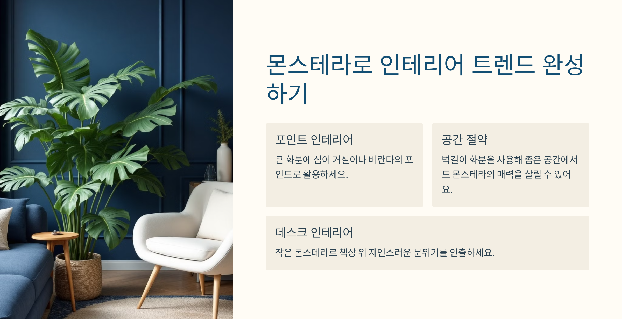몬스테라 사진