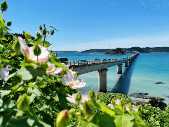 오키나와 렌터카 여행&amp;#44; 이렇게 준비하세요!