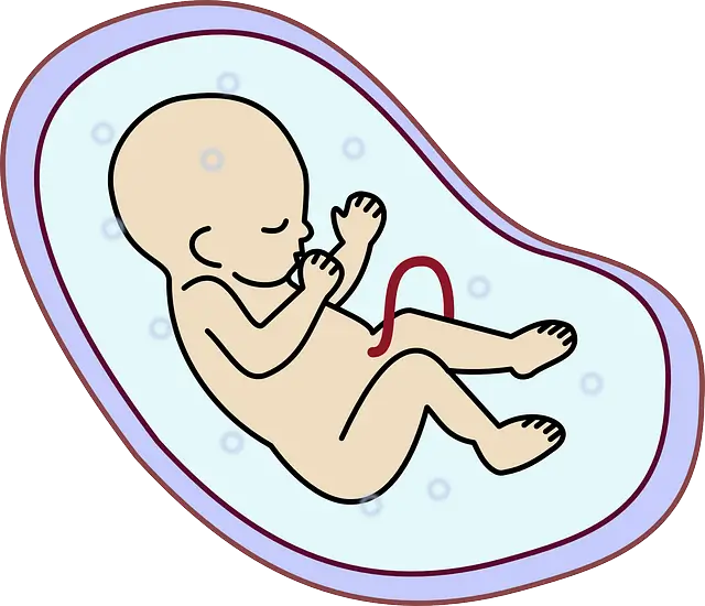 임신-극초기-증상