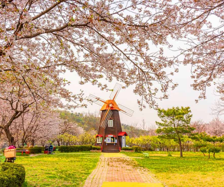 파주