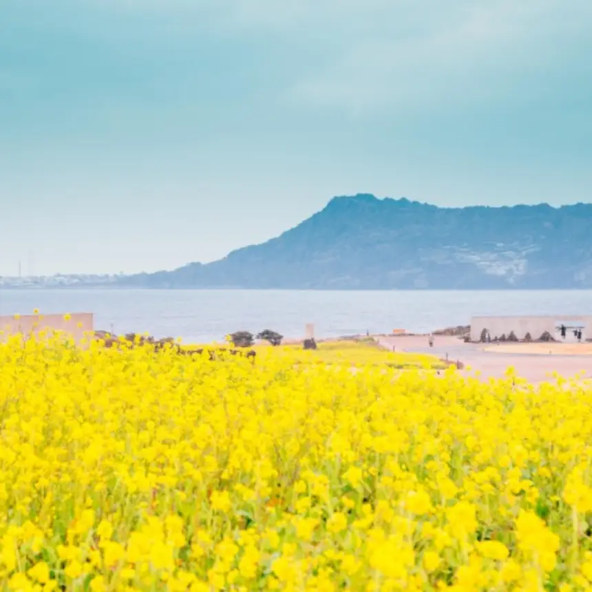 제주 동쪽, 제주 동부, 제주도 가볼만한 곳, 성산일출봉, 우도, 월정리 해변, 세화 해변, 비자림, 섭지코지, 아쿠아플라넷 제주, 제주 여행 꿀팁, 가족 여행, 커플 여행, 제주 당일치기