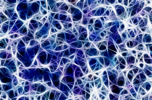 삼차 신경통 관련 사진