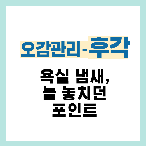14편. 욕실 냄새가 반복되는 집에서 놓치기 쉬운 포인트