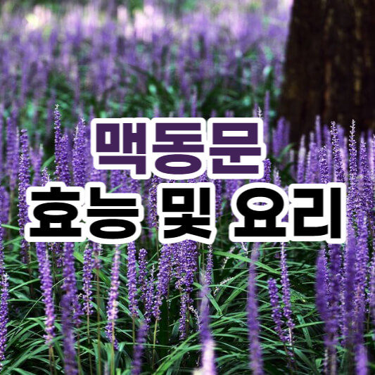 맥동문