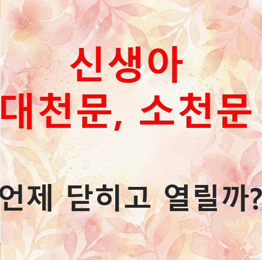 신생아 대천문 소천문, 언제 닫히고 어디 있을까?