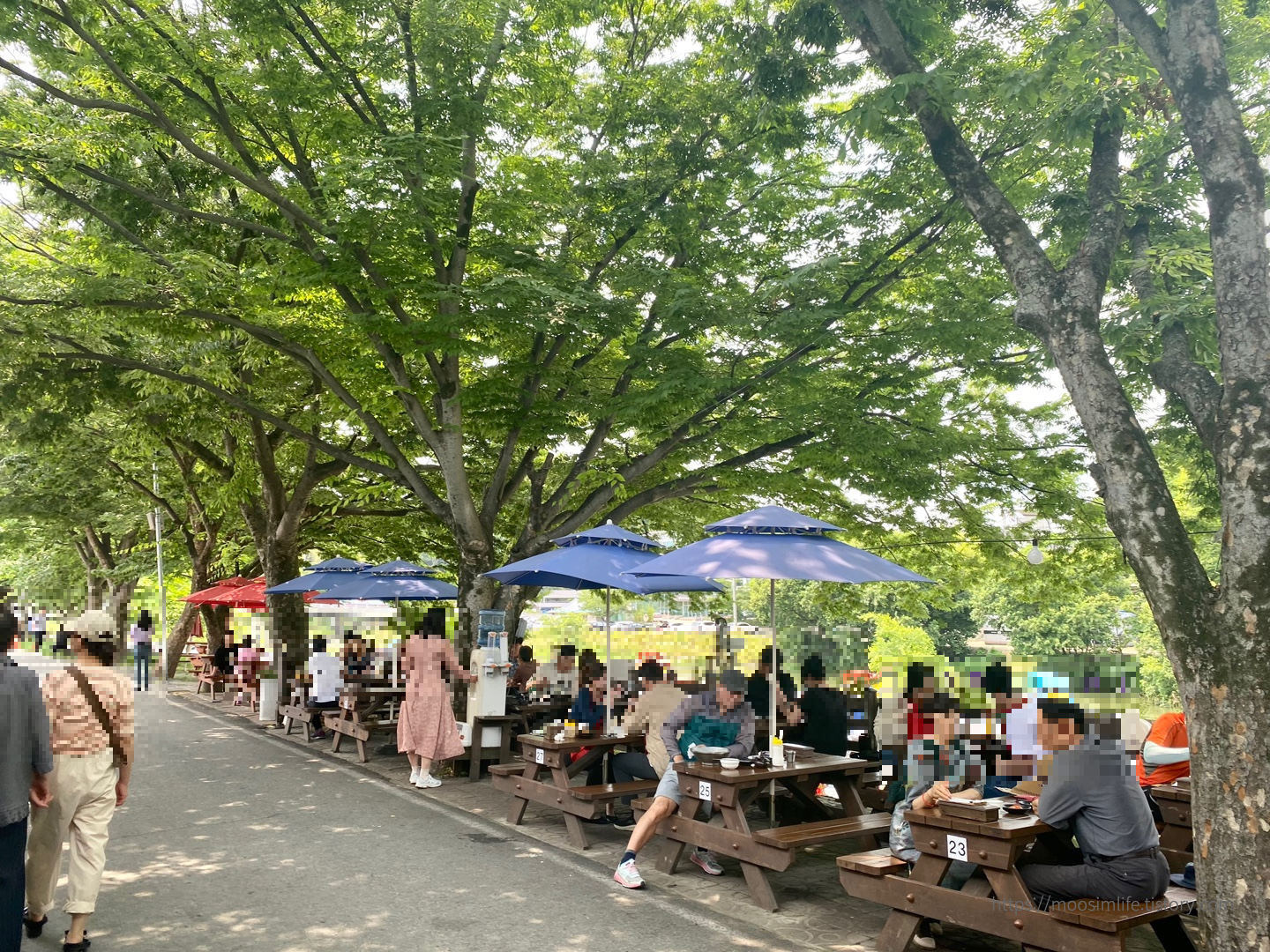 담양-죽녹원-국수거리
