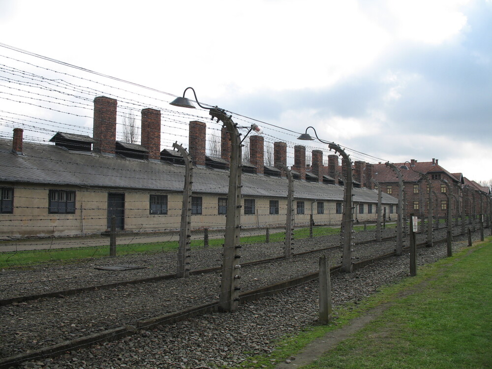 아우슈비츠 나치강제수용소 제2차세계대전 집단학살 홀로코스트 역사적진실 유네스코 세계문화유산 역사교육
